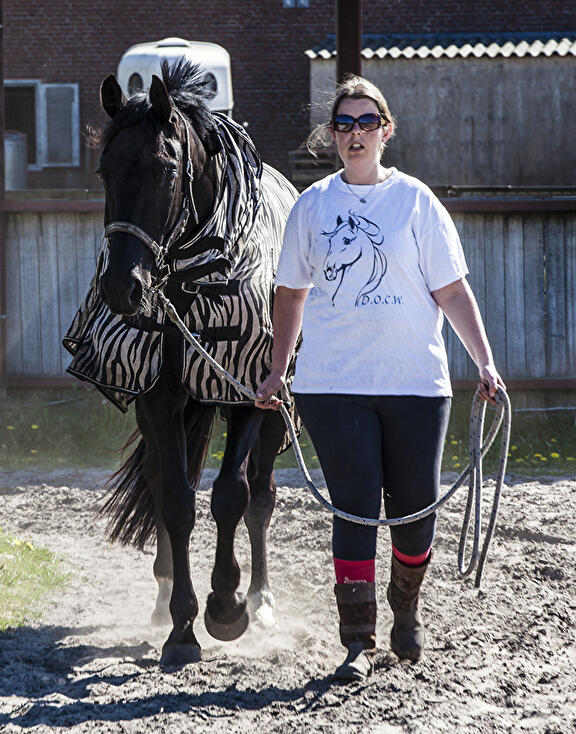 buitenzetten paard